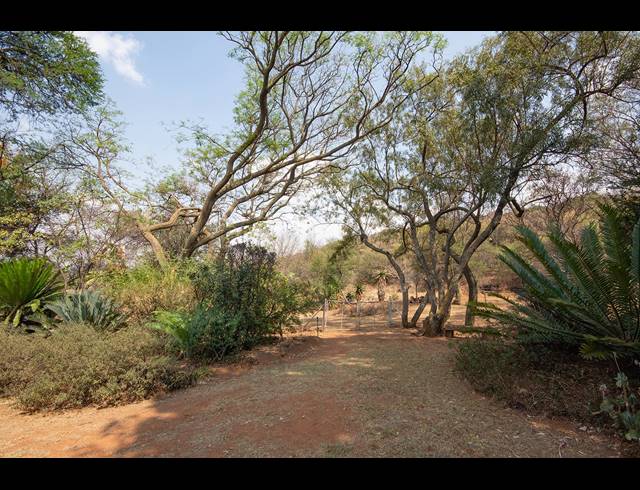 4 BEDROOM HOUSE FOR SALE IN OVERKRUIN